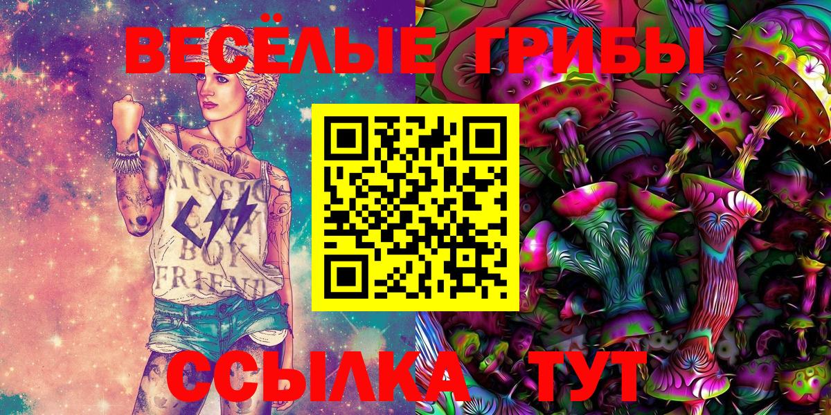 Волгодонск  Галлюциногенные грибы GOLDEN TEACHER  купить   Вход с VPN 
